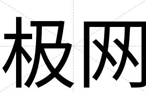 极网