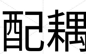 配耦