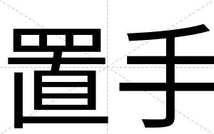 置手