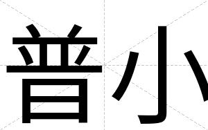普小