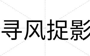 寻风捉影