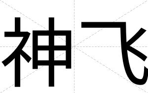 神飞