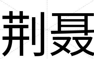 荆聂