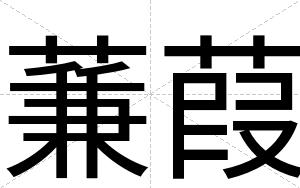 蒹葭