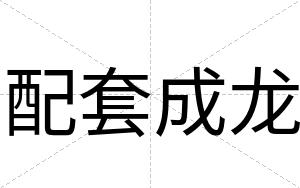 配套成龙