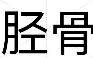胫骨