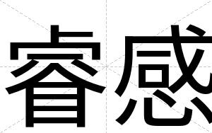 睿感