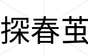 探春茧