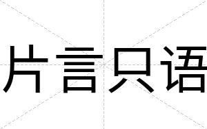 片言只语