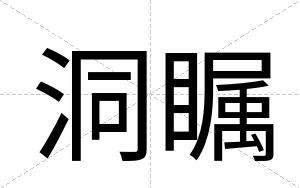 洞瞩