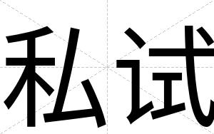 私试